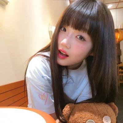 光荣之路上的狗