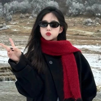 高速路上一只猫